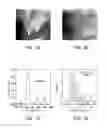 Fig. 06 - METHOD FOR MANUFACTURING METAL NANOPARTICLES, METHOD FOR MANUFACTURING METAL NANOPARTICLE-LOADED CARRIER, AND METAL NANOPARTICLE-LOADED CARRIER