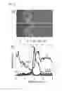 Fig. 05 - Oxide all-solid-state battery