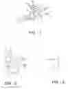 Fig. 02 - Polarized electrical plug and adaptor with modular orientation verification