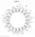 Fig. 05 - Rotary electric machine
