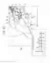 Fig. 33 - Reception device, receiving method, and program