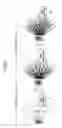 Fig. 06 - USER APPARATUS, BASE STATION, AND COMMUNICATION METHOD