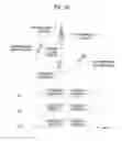 Fig. 23 - Method for transmitting/receiving synchronization signal for direct communication between terminals in wireless communication system