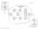 Fig. 01 - Using encryption to propagate cognitive corrections
