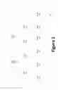 Fig. 02 - FEC coding identification