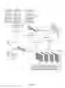 Fig. 02 - CUSTOMER PREMISES EQUIPMENT VIRTUALIZATION