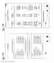 Fig. 31 - SOCIAL COMMUNICATIONS SYSTEMS AND METHODS