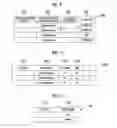 Fig. 10 - Information processing apparatus and non-transitory computer readable medium storing information processing program for single sign-on