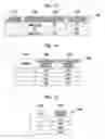 Fig. 12 - Information processing apparatus and non-transitory computer readable medium storing information processing program for single sign-on