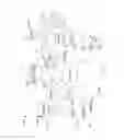 Fig. 03 - Polymorphic obfuscation of executable code