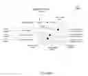 Fig. 130 - Automated service discovery in I.T. environments with entity associations