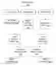 Fig. 01 - Programming a data network device using user defined scripts