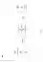 Fig. 16 - SELECTIVE DISTRIBUTION OF MESSAGES IN A PUBLISH-SUBSCRIBE SYSTEM
