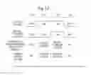 Fig. 11 - Information Processing Apparatus and Recording Medium