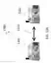 Fig. 18 - Context and content based automated image and media sharing