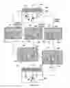 Fig. 05 - Image processing for automatic detection of focus area