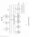 Fig. 29 - Image processing apparatus, image processing method, and program