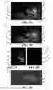 Fig. 03 - Material characterization from infrared radiation