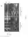 Fig. 12 - Reducing View Transitions Artifacts In Automultiscopic Displays