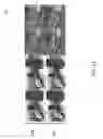 Fig. 20 - Reducing View Transitions Artifacts In Automultiscopic Displays
