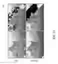 Fig. 24 - Reducing View Transitions Artifacts In Automultiscopic Displays