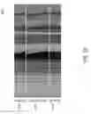 Fig. 25 - Reducing View Transitions Artifacts In Automultiscopic Displays