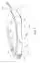 Fig. 02 - Head mounted display and image formation optical system