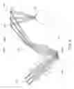 Fig. 09 - Head mounted display and image formation optical system