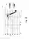 Fig. 07 - Hearing device with a microphone structure