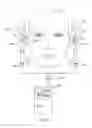 Fig. 02 - Method of Stereophonic Recording and Binaural Earphone Unit