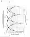 Fig. 08 - Communications bandwidth enhancement using orthogonal spatial division multiplexing