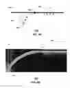 Fig. 07 - Apparatus and methods for dynamic impedance matching of a guided wave launcher