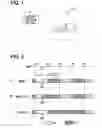 Fig. 02 - Mobile object communication system and service provision device