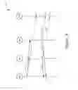 Fig. 15 - ACCESS POINT (AP) TO ACCESS POINT (AP) RANGING FOR PASSIVE LOCATIONING
