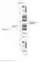 Fig. 19 - User equipment and communication method