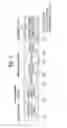 Fig. 02 - METHOD FOR PERFORMING CCA IN WIRELESS ACCESS SYSTEM SUPPORTING UNLICENSED BAND, AND APPARATUS FOR SUPPORTING SAME