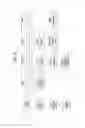 Fig. 09 - METHOD FOR PERFORMING CCA IN WIRELESS ACCESS SYSTEM SUPPORTING UNLICENSED BAND, AND APPARATUS FOR SUPPORTING SAME