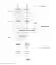 Fig. 07 - Discontinuous reception operation of a mobile terminal