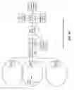 Fig. 11 - VIRTUALIZED WIRELESS MESH NETWORK