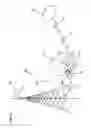 Fig. 10 - Fiber to the antenna