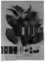 Fig. 02 - Sweet cherry tree named 'IFG Cher-Five'