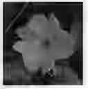 Fig. 01 - TX-10-G-L-11-9-12-5