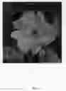Fig. 02 - TX-10-G-L-11-9-12-5