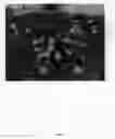 Fig. 06 - TX-10-G-L-11-9-12-5
