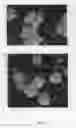 Fig. 11 - TX-10-G-L-11-9-12-5