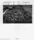 Fig. 12 - TX-10-G-L-11-9-12-5