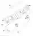 Fig. 07 - Durable pet diaper and method of using the same