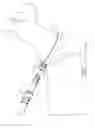 Fig. 04 - Leash attachment system for dog collar or harness