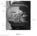 Fig. 12 - ORNAMENT ASSEMBLY