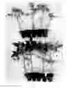 Fig. 02 - Insecticide/miticide composition based on fatty acid salts